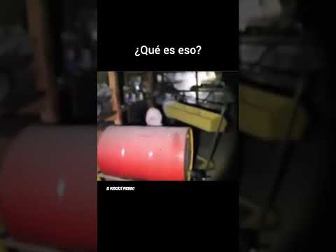 Extraña criatura captada en exploración urbana #elpodcastperdido