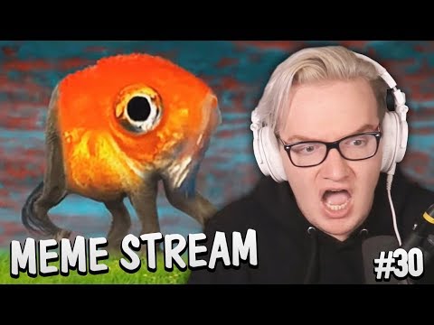 Don't Ask, Just Watch (Meme Stream #30)