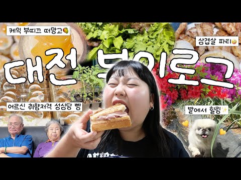 먹고 힐링하는 본가 브이로그☺️🤍 어르신 취향저격 성심당 빵🥯 • 삼겹살 파티🥓 • 아빠랑 등산⛰️ • 주말농장 모종구매🌱 • 성심당 샌드위치 추천🥪