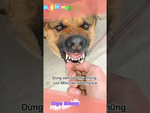 Đoạn tuyệt #ngonang