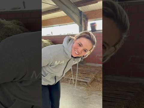 Pferdehofliebe - Kontrollfreak 😂 #pferdehofliebe #equestrian #youtubeshorts #horse #comedy #fy