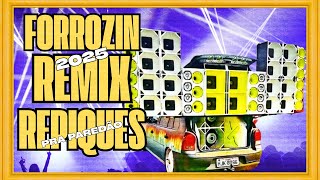 SELEÇÃO FORROZIN REMIX 2025 | REPIQUES PRA PAREDÃO