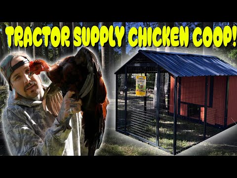 Tractor Supply Chicken Coop Build and Review!