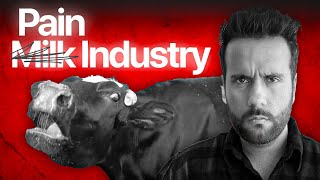 Dairy Industry EXPOSED! - 💔 The Pain Behind Milk Production l Science and Fun l Ashu Ghai