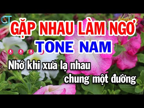 Karaoke Gặp Nhau Làm Ngơ Tone Nam ( G ) Nhạc Sống Quá Hay || Karaoke Tuấn Kiệt