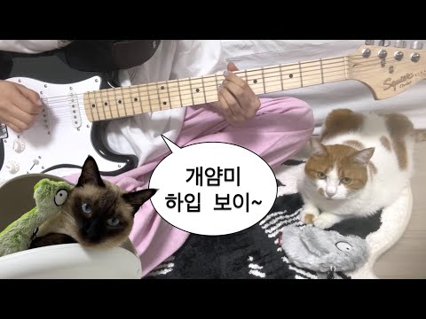 뉴진스 학생들의 얌미 하입 보이 (NewJeans - Hype Boy cover)