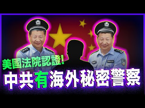 美國法院認證！中共有海外秘密警察！騷擾蔡英文的兇手就是據點之一！採訪被海外110騷擾的調查記者蘇雨桐。