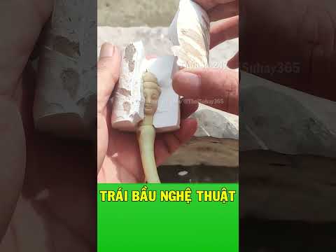 Khám phá trái bầu biến hình
