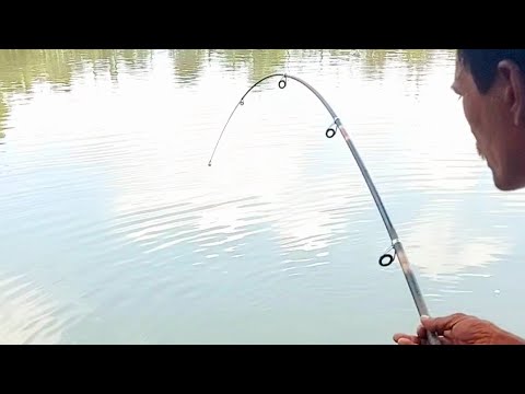 Best angling life of villagers! Big ticket fishing video!