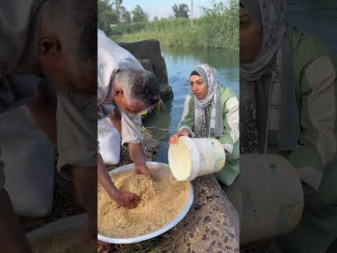 ابويا مش عجبه المايه