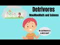 Understanding Detritivores and Decomposers