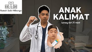 【TIKET LULUS JLPT】Bunpou terpenting untuk Dokkai dan Lancar Kaiwa