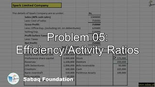 Problem 05: Efficiency/Activity Ratios