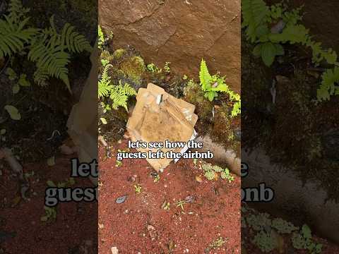 Let’s see how the guests left the Airbnb