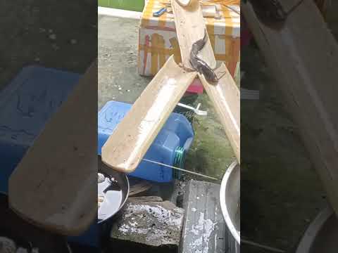 Magaling pumili ang isda #video #trending #funny #fyp #viral