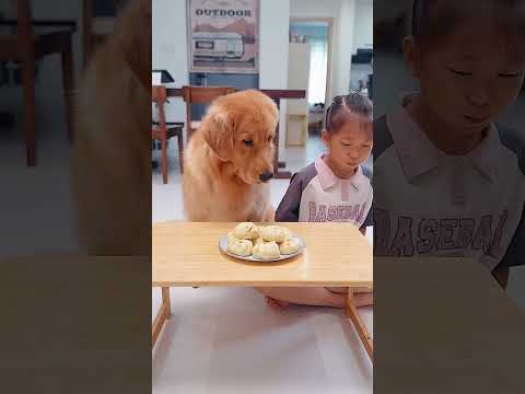 momo lapet diya 😅