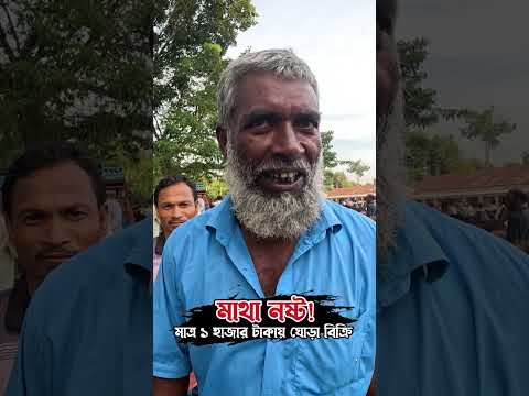 মাথা নষ্ট! মাত্র ১ হাজার টাকায় ঘোড়া বিক্রি #তুলসিপুর #ঘোড়ারহাট #তুলসিপুরঘোড়ারহাট