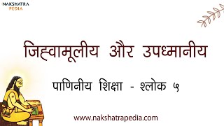 जिह्वामूलीय और उपध्मानीय वर्ण | Jihvamuliya & Upadhmaniya in Sanskrit | पाणिनीय शिक्षा | Sanskrit