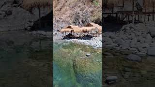 Mag relax muna sa ilog #relaxing #shorts