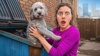 WE FOUND A LOST DOG IN A DUMPSTER...