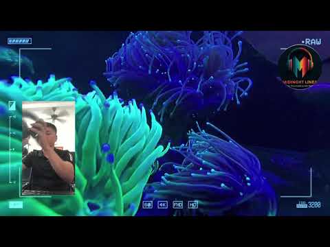 Colorful Reef World โ Indoor Marine Aquarium Tour