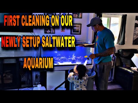 FIRST CLEANING ON OUR NEWLY SET UP SALTWATER AQUARIUM