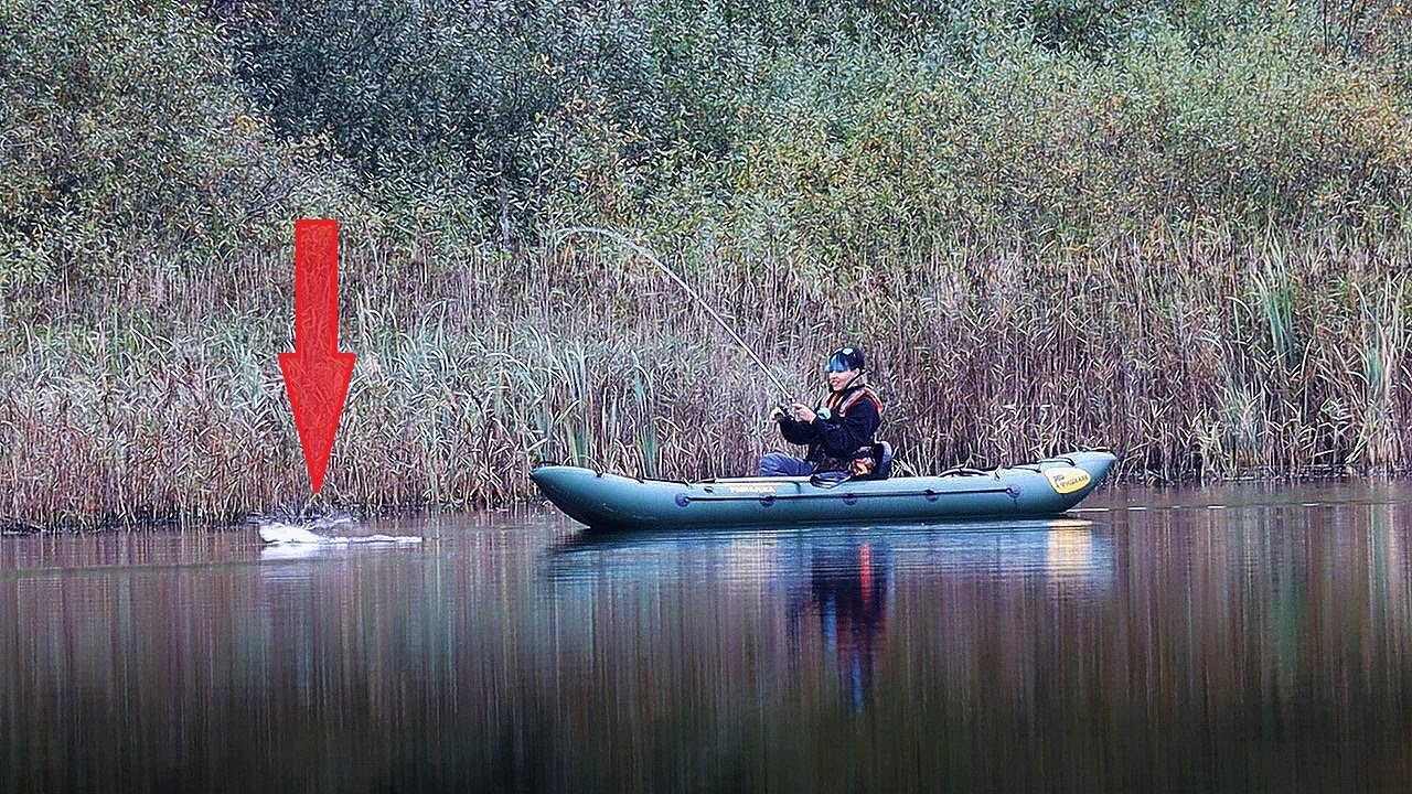 РЫБАЛКА на КАЯКЕ Ловля щуки на спиннинг Тактика ловли на дикаре 206