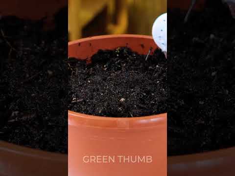 Master Gardening Secrets! Grow Organic Plants at Home Effortlessly!
