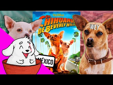 Huntleo reacciona a "xenofobia, la película"