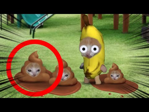 BANANA CAT AND POOP CAT CARTOON 🍌🐱 #catmemes #bananacat #funny #cartoon
