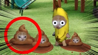 BANANA CAT AND POOP CAT CARTOON 🍌🐱 #catmemes #bananacat #funny #cartoon