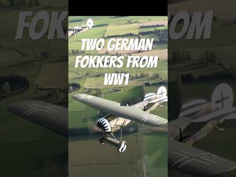 A Pair Of Fokker D.VIII Monoplanes From 1918
