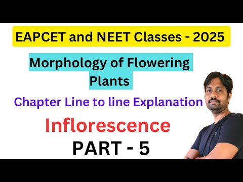 Morphology of Flowering Plants || Inflorescence || EAPCET and NEET Classes for 2025