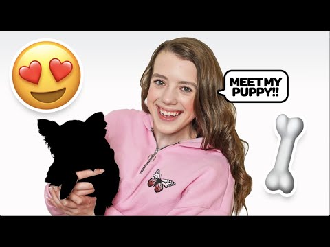 SURPRISE! We Got A New Puppy!! 🐶**CUTE REACTION** |Symonne Harrison