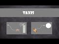 Taxis and Chemotaxis Concepts