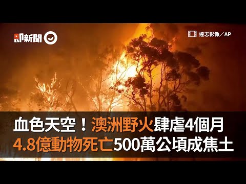 澳洲野火肆虐4個月　4.8億動物死亡500萬公頃成焦土 Bushfires in Australia｜澳洲大火｜國際 - YouTube