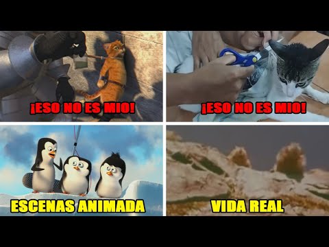 3 ESCENAS de PELICULAS ANIMADAS que se HICIERON CANON en la vida REAL