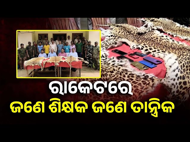 ବାଘଛାଲ ରାକେଟରେ ଏମାନେ କଣ କରୁଥିଲେ ? ଚାଲିଛି ବଡ଼ ଖୋଳତାଡ଼ || Knews Odisha