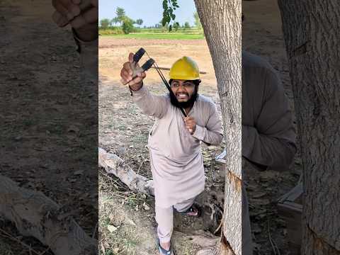 Birds ko bacha Liya #shorts #viralvideos #ytshorts