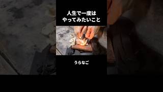 【火打ち石】人生で一度はやってみたいこと【VTuber／裏名古屋奇譚】