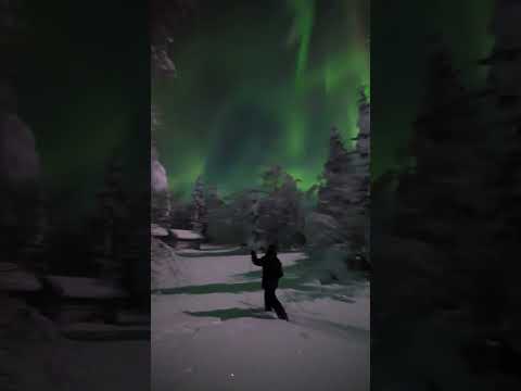 The most amazing northern lights with the full moon in Lapland, Finland&#128293;&#128525;