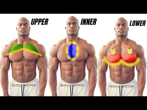 TOP 5 INNER, LOWER AND UPPER CHEST WORKOUT AT GYM / Meilleurs exs Musculation Poitrine .