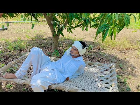 FUNNY GUJARATI VLOG ||ફની ગુજરાતી વ્લોગ ||