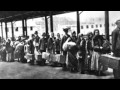 Impact of Immigration on Labor