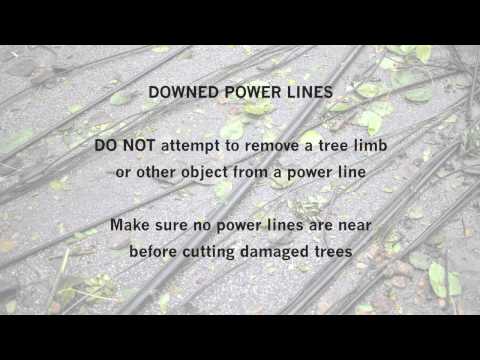 Downed Lines