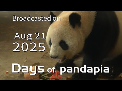 20250821 Broadcast Top Highlights 01