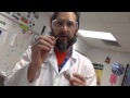 Exploring Chemical and Physical Changes