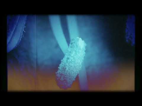 Salistre - ¿POR QUÉ NO TE VIENES? (Videolyric)