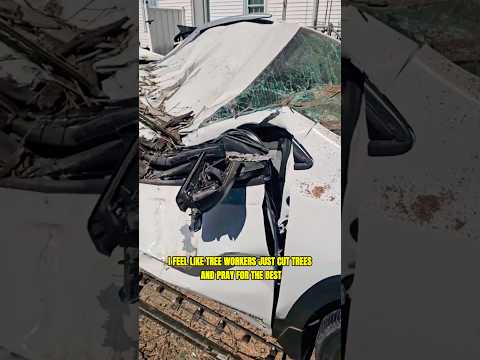 TREE SERVICE GUARANTEE We'll cut your TREE and DESTROY your CAR in the process #landscaping