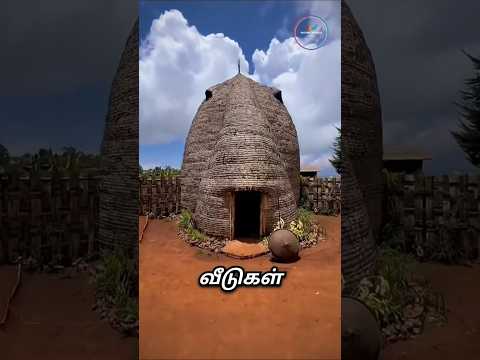 யானை வடிவ வாழைநார் வீடுகள்! 🛖